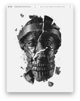 Nicolas Guillerminet