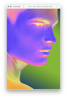 Nicolas Guillerminet