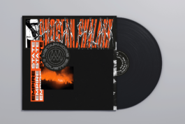 Nicolas Guillerminet