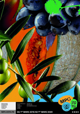 Nicolas Guillerminet